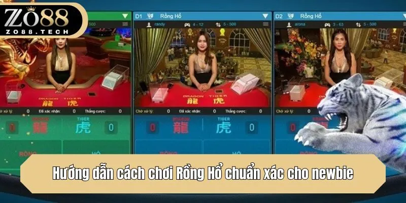Hướng dẫn cách chơi Rồng Hổ chuẩn xác cho newbie