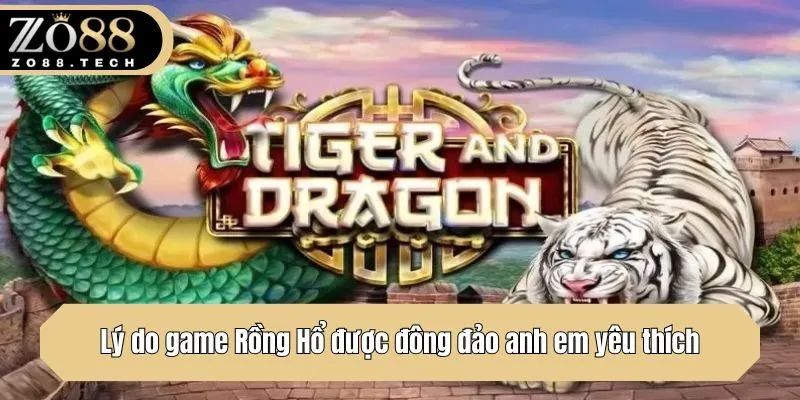 Lý do game Rồng Hổ được đông đảo anh em yêu thích